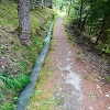 Plants: image 165 Of 208 Thumb